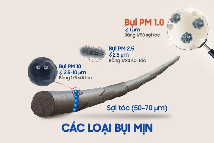 BẢO VỆ SỨC KHOẺ DƯỚI TÁC ĐỘNG CỦA BỤI MỊN - Hình 2 - Bệnh viện SANTE Bình Thạnh, TP.HCM BẢO VỆ SỨC KHOẺ DƯỚI TÁC ĐỘNG CỦA BỤI MỊN - Hình 2 - Bệnh viện SANTE Bình Thạnh, TP.HCM