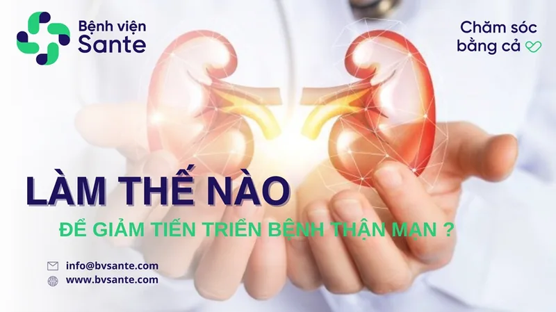Làm thế nào để giảm tiến triển bệnh thận mạn - Bệnh viện SANTE Bình Thạnh, TP.HCM Làm thế nào để giảm tiến triển bệnh thận mạn - Bệnh viện SANTE Bình Thạnh, TP.HCM