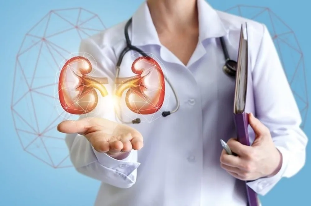 Làm thế nào để giảm tiến triển bệnh thận mạn - Hình 2 - Bệnh viện SANTE Bình Thạnh, TP.HCM Làm thế nào để giảm tiến triển bệnh thận mạn - Hình 2 - Bệnh viện SANTE Bình Thạnh, TP.HCM