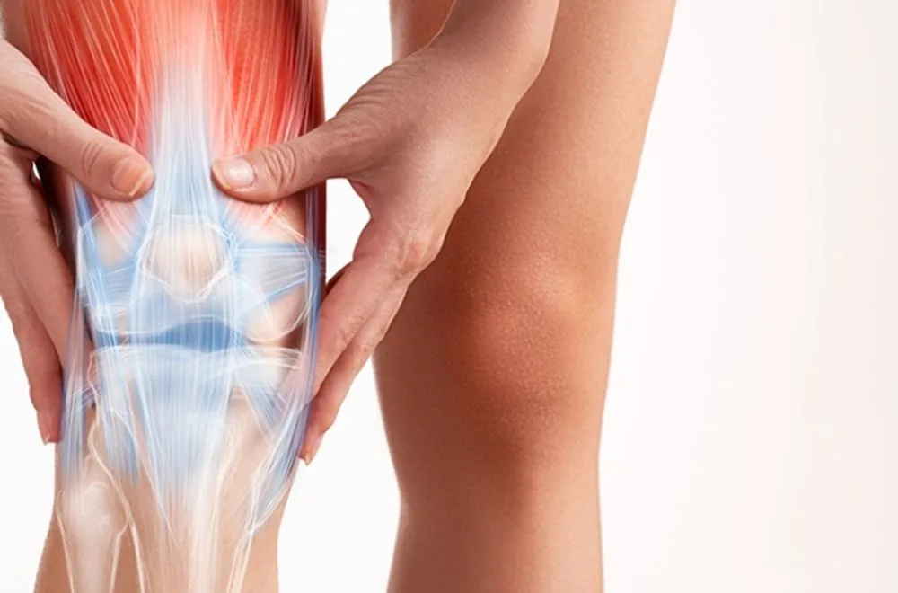 Bệnh viện Sante - Nguyên nhân bệnh đau khớp? Triệu chứng và cách chữa trị (Hình 4) Bệnh viện Sante - Nguyên nhân bệnh đau khớp? Triệu chứng và cách chữa trị (Hình 4)