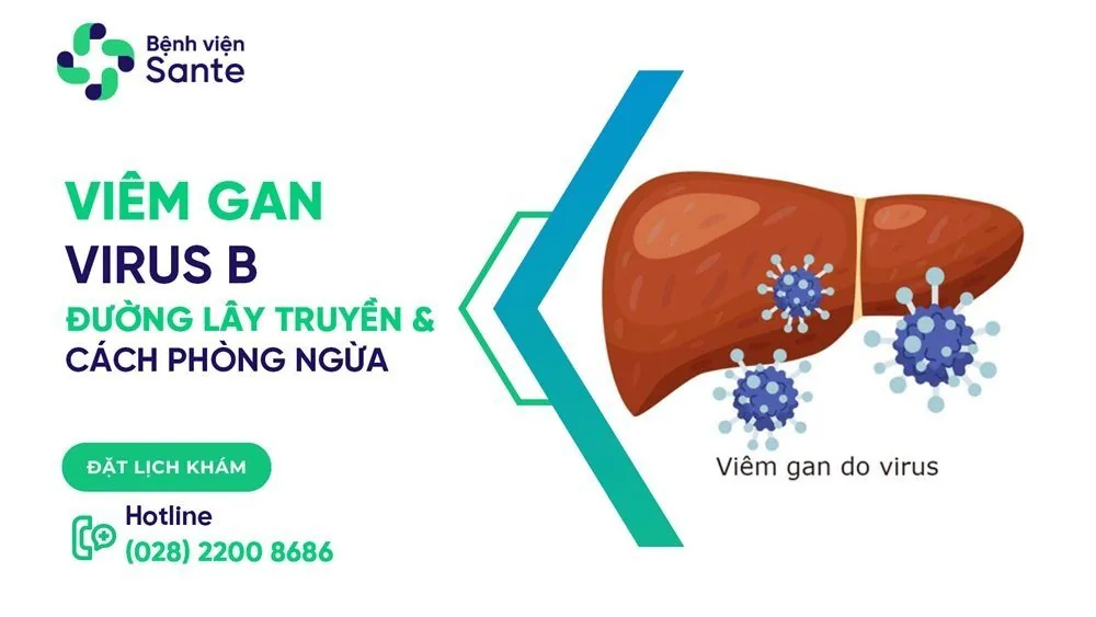 Bệnh viện Sante - Viêm gan virus B: Đường lấy truyền và cách phòng ngừa Bệnh viện Sante - Viêm gan virus B: Đường lấy truyền và cách phòng ngừa