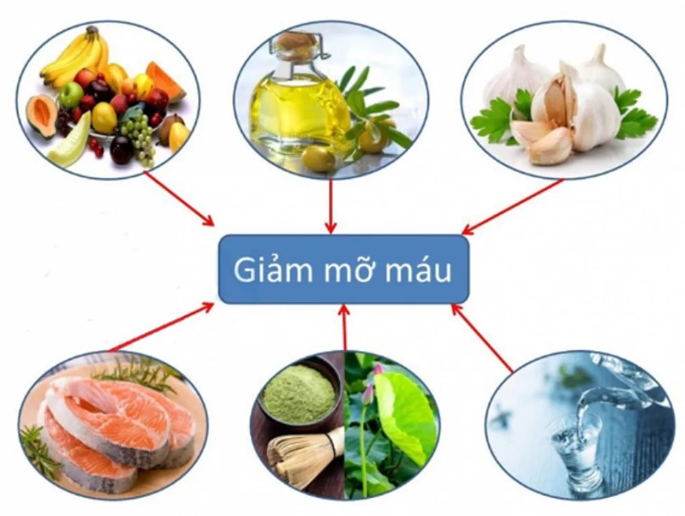 Rối loạn Lipid máu và nguy cơ bệnh tim mạch - Hình 3 - Bệnh viện SANTE Bình Thạnh, TP.HCM Rối loạn Lipid máu và nguy cơ bệnh tim mạch - Hình 3 - Bệnh viện SANTE Bình Thạnh, TP.HCM