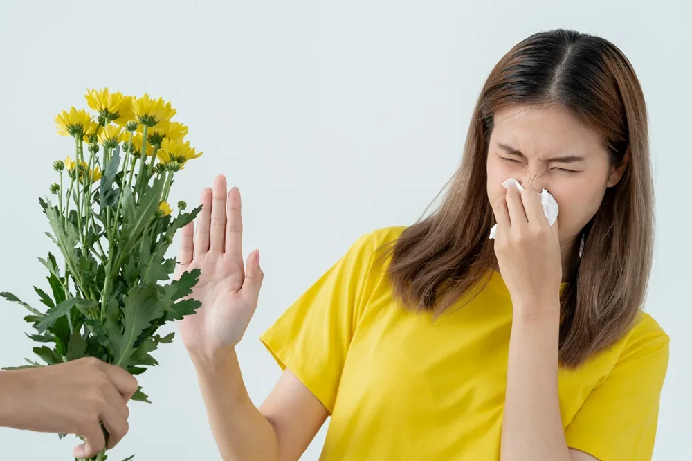 Viêm xoang mũi dị ứng - Hình 2 - Bệnh viện SANTE Bình Thạnh, TP.HCM Viêm xoang mũi dị ứng - Hình 2 - Bệnh viện SANTE Bình Thạnh, TP.HCM